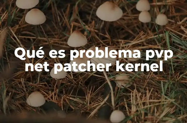 Causas comunes detrás del problema PVP Net Patcher Kernel