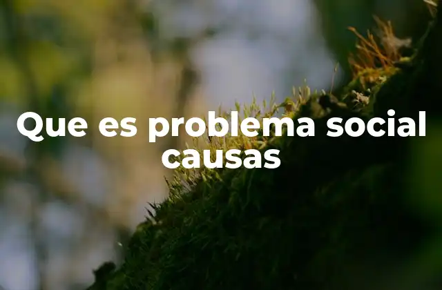 Las raíces estructurales de los problemas sociales