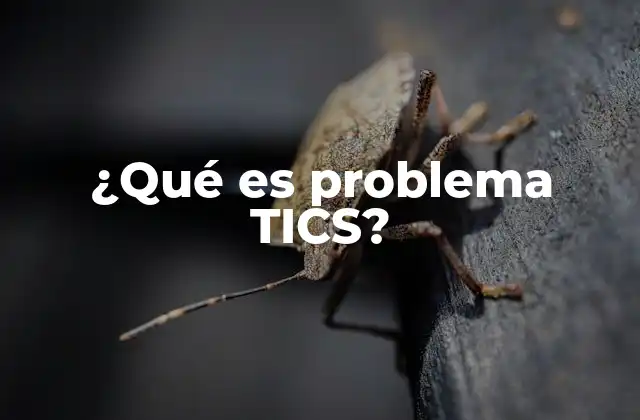 ¿qué es Problema Tics?
