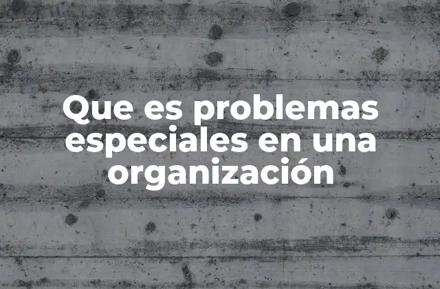 Que es Problemas Especiales en una Organización