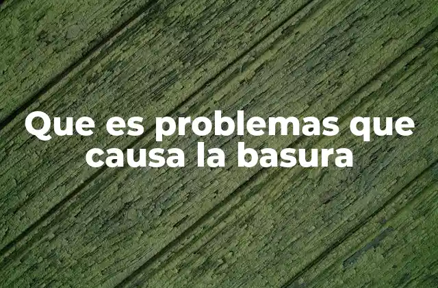 Que es Problemas que Causa la Basura