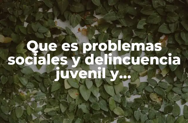 Que es Problemas Sociales y Delincuencia Juvenil y Consecuensias