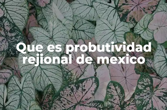 Que es Probutividad Rejional de Mexico