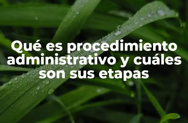 Qué es Procedimiento Administrativo y Cuáles Son Sus Etapas