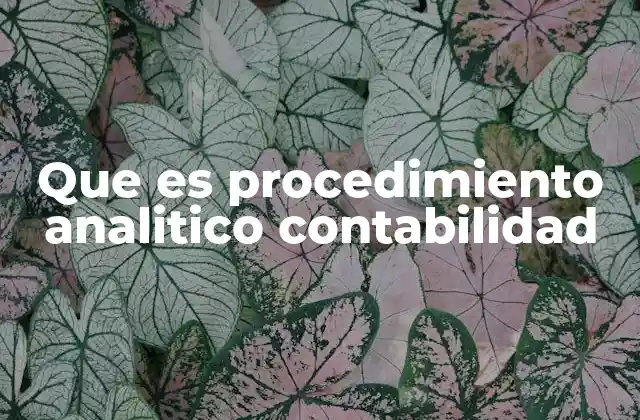 Que es Procedimiento Analitico Contabilidad 2 El rol del análisis en la gestión contable