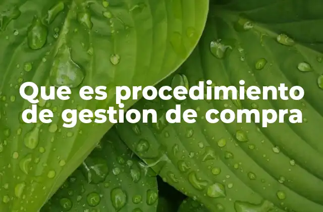 Que es Procedimiento de Gestion de Compra