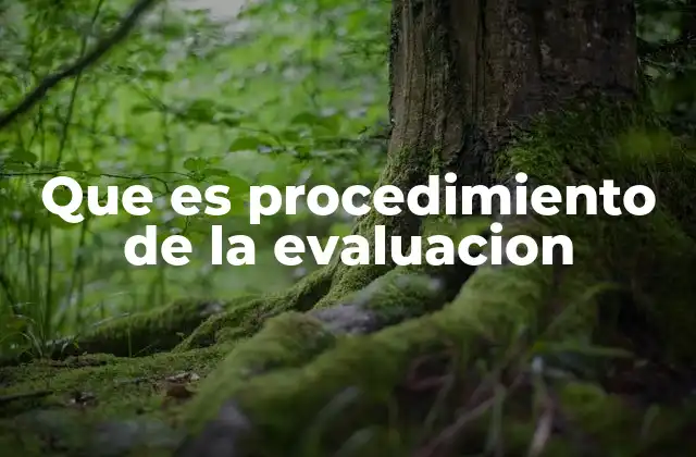 Que es Procedimiento de la Evaluacion 2 La importancia de tener un procedimiento claro en la evaluación