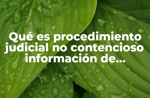 Qué es Procedimiento Judicial No Contencioso Información de Dominio