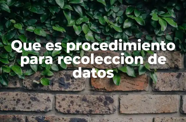 Que es Procedimiento para Recoleccion de Datos