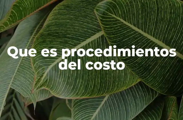 Que es Procedimientos Del Costo