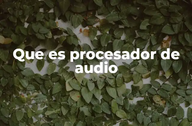 Que es Procesador de Audio