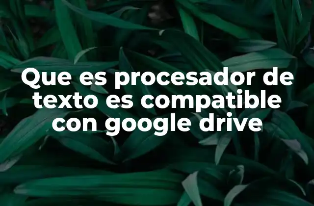 Que es Procesador de Texto es Compatible con Google Drive 2 Cómo elegir el procesador de texto correcto para trabajar con Google Drive