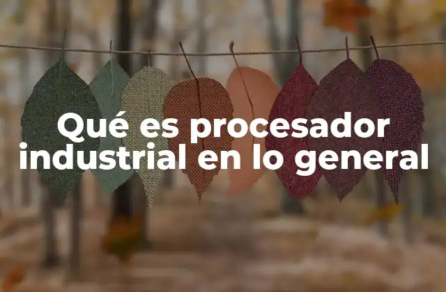 Qué es Procesador Industrial en Lo General