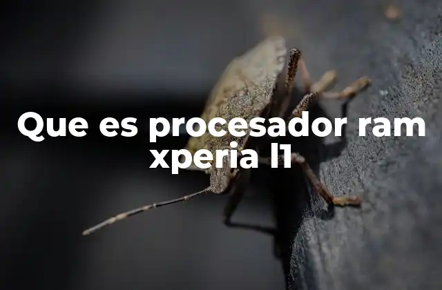 Cómo el procesador y la RAM afectan el rendimiento del Xperia L1