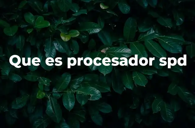 Que es Procesador Spd