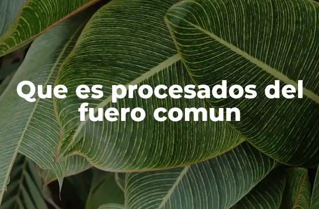 Tipos de procesos dentro del fuero común