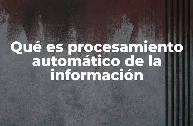 Qué es Procesamiento Automático de la Información 2 La importancia del procesamiento automatizado en el entorno digital