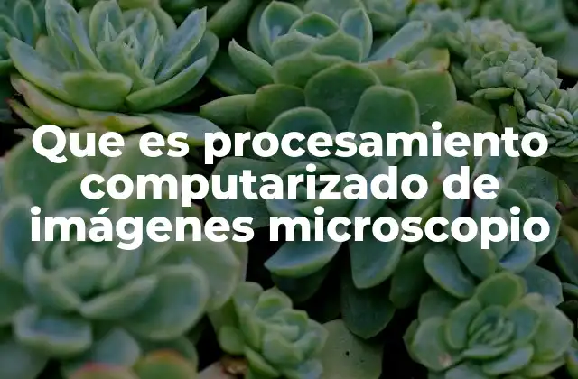 Cómo la tecnología digital transforma el análisis microscópico