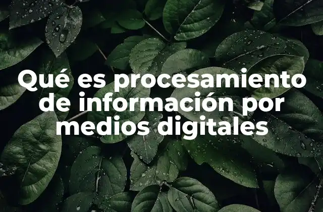 Qué es Procesamiento de Información por Medios Digitales 2 Cómo ha transformado la forma en que manejamos los datos