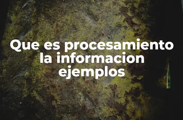 Que es Procesamiento la Informacion Ejemplos