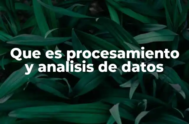 Que es Procesamiento y Analisis de Datos