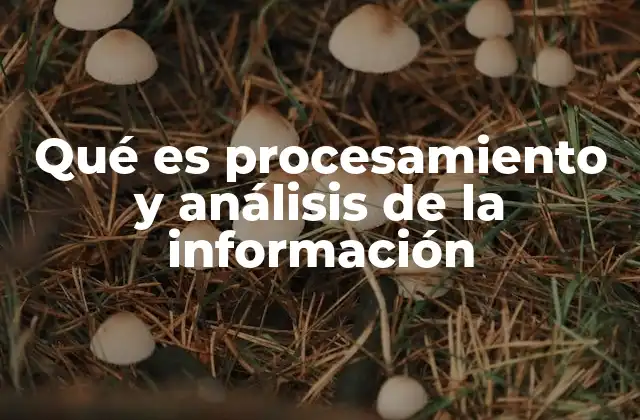 Qué es Procesamiento y Análisis de la Información