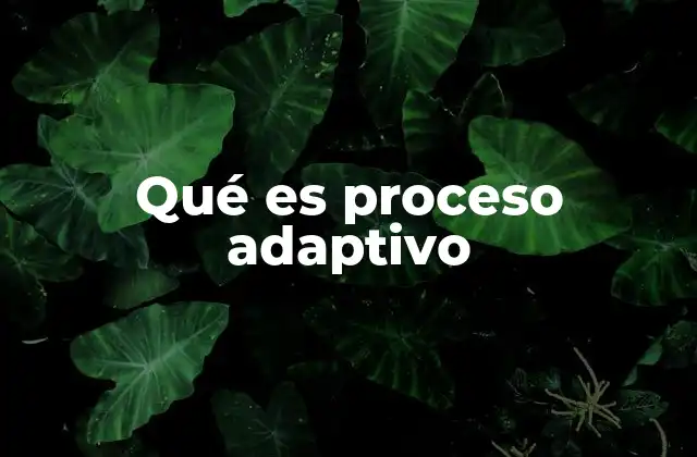 Qué es Proceso Adaptivo