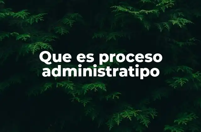 Que es Proceso Administratipo