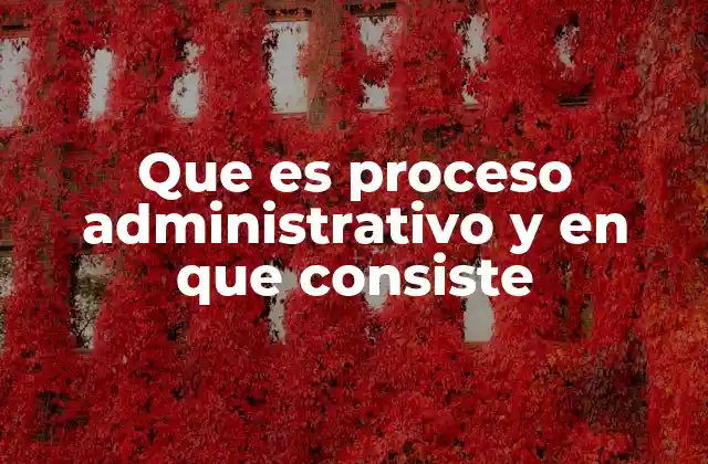 Que es Proceso Administrativo y en que Consiste 2 La importancia del proceso administrativo en la toma de decisiones