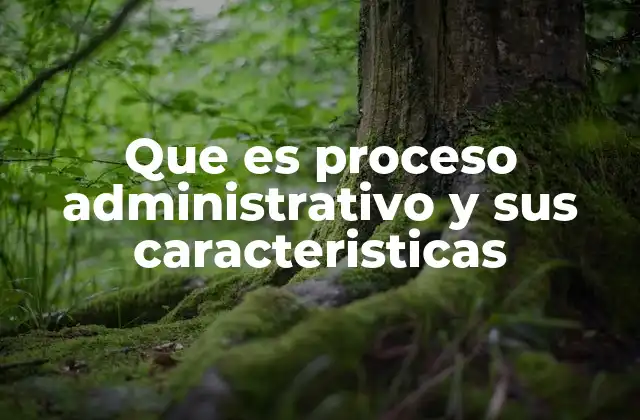 Que es Proceso Administrativo y Sus Caracteristicas