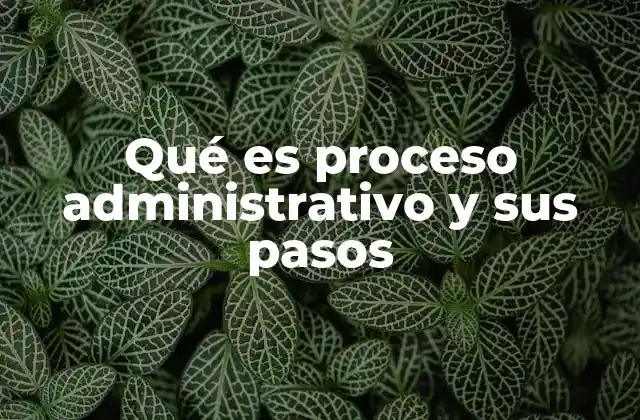 Qué es Proceso Administrativo y Sus Pasos
