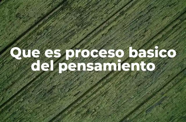 Que es Proceso Basico Del Pensamiento