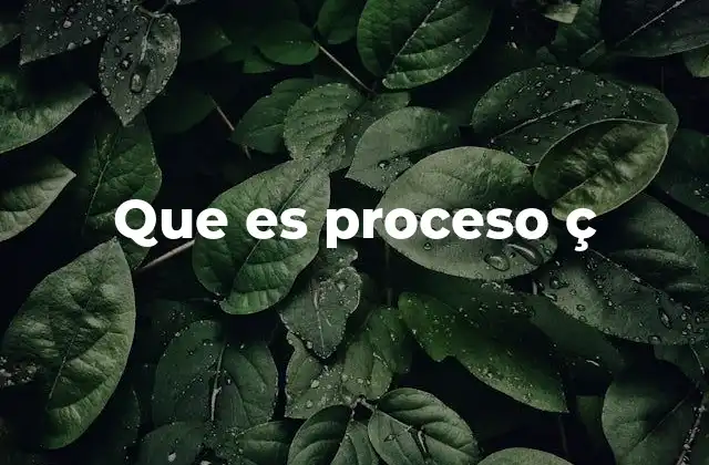 Que es Proceso Ç 2 La importancia de los procesos en la gestión empresarial