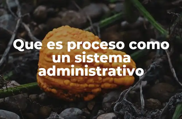 Que es Proceso como un Sistema Administrativo