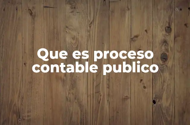 Que es Proceso Contable Publico