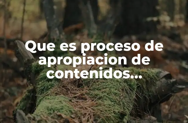 Que es Proceso de Apropiacion de Contenidos Procedimentales