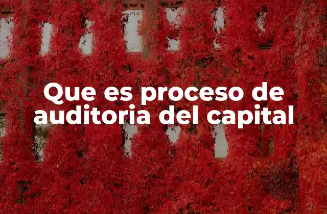 Que es Proceso de Auditoria Del Capital