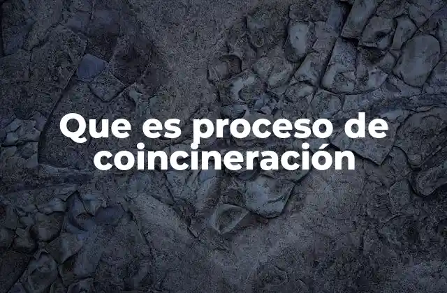 Que es Proceso de Coincineración