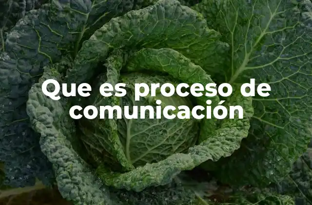 Que es Proceso de Comunicación