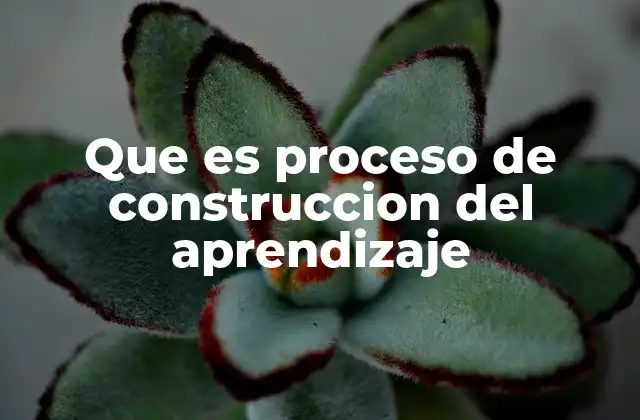 Que es Proceso de Construccion Del Aprendizaje