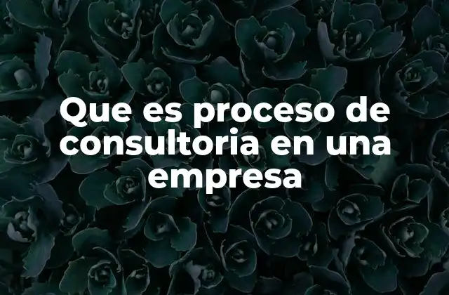 Que es Proceso de Consultoria en una Empresa