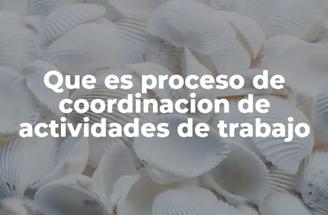 Que es Proceso de Coordinacion de Actividades de Trabajo