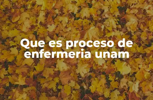 Que es Proceso de Enfermeria Unam