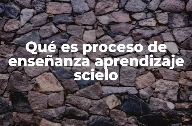 Qué es Proceso de Enseñanza Aprendizaje Scielo