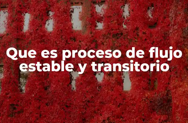 Que es Proceso de Flujo Estable y Transitorio