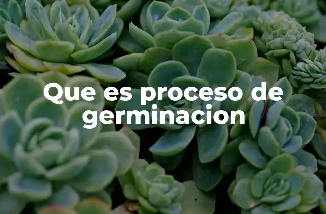Que es Proceso de Germinacion
