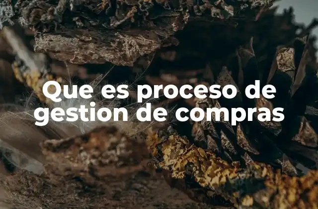 Que es Proceso de Gestion de Compras