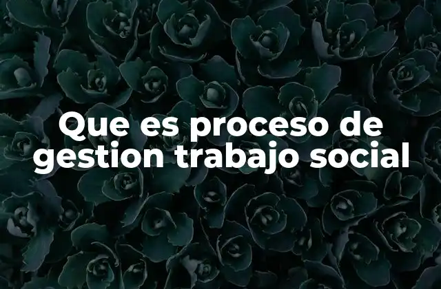 Que es Proceso de Gestion Trabajo Social