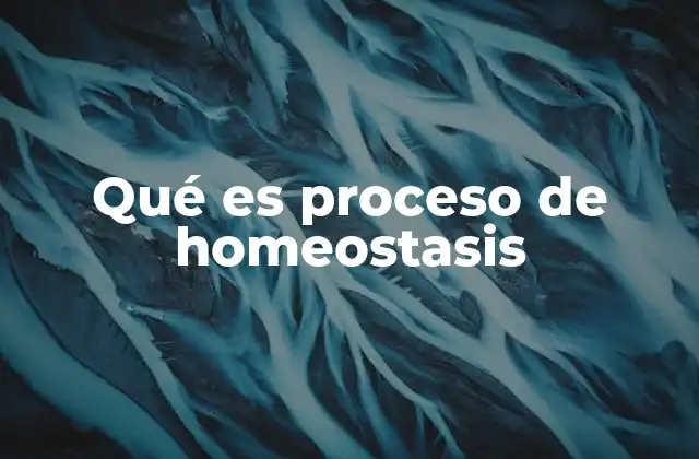 Qué es Proceso de Homeostasis 2 La importancia de mantener un equilibrio interno