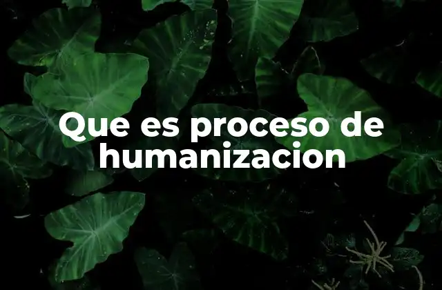 Que es Proceso de Humanizacion